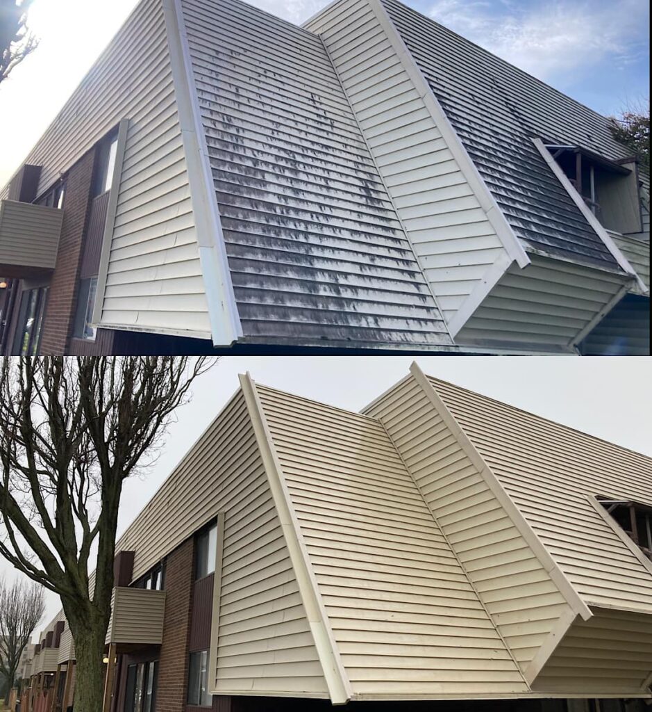 Sylvania Roof Cleaning Near Me