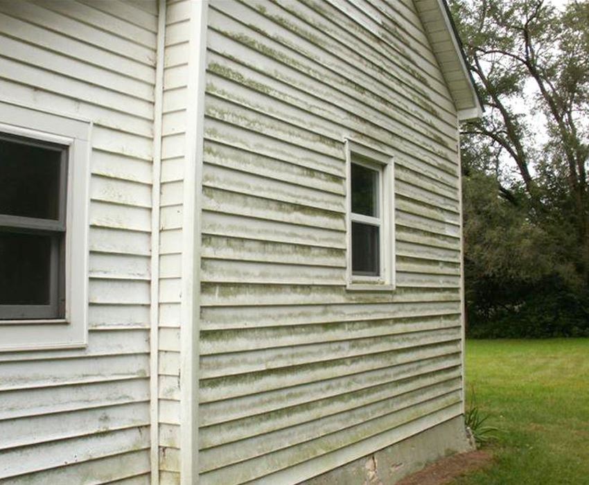 vinyl siding mold removal before 41 1 1